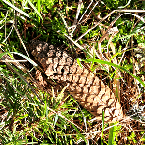 Natur entdecken