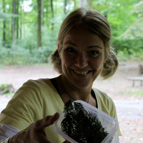 Erlebnis WaldFührung 6 Waldführung