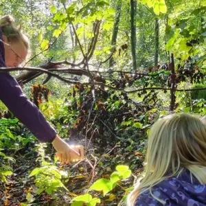 Erlebnis WaldFührung 9 Waldexpedition Waldführung Ruhrgebiet