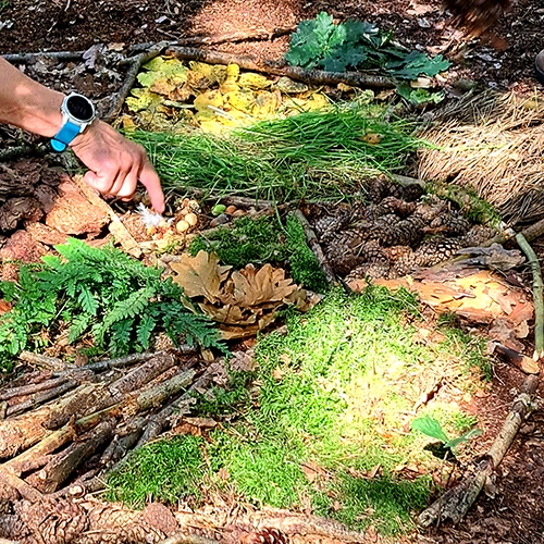 Waldexpedition Waldzeit für Frauen