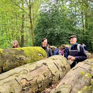 Erlebnis WaldFührung 3 WaldExpedition WALD! Festival der Sinne
