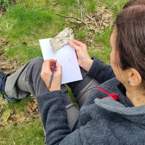 Erlebnis WaldFührung 16 WaldExpedition WALD! Festival der Sinne