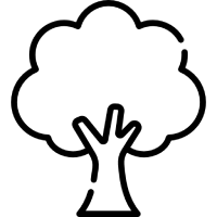 Baumgeschichten