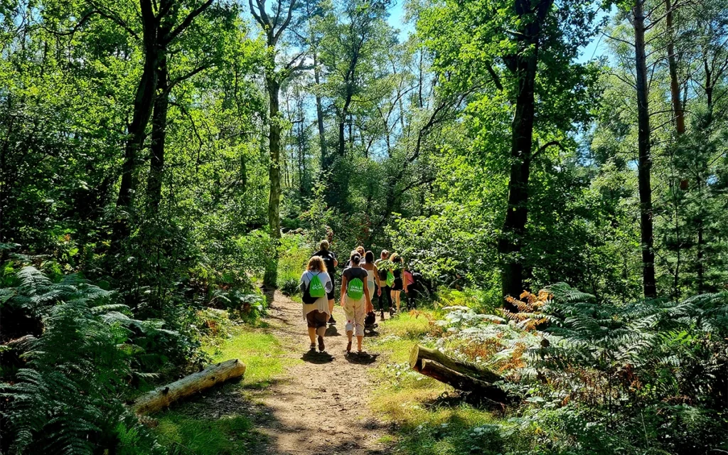 Termine 19 WaldExpedition Erlebnis Waldführung