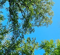 WaldExpedition-Termine-kl