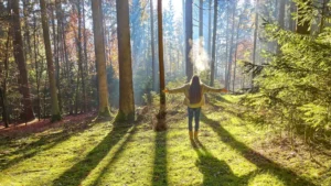 Waldexpedition Waldbaden Senioren