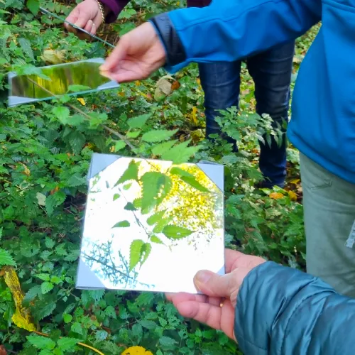 Waldexpedition Waldbaden Senioren