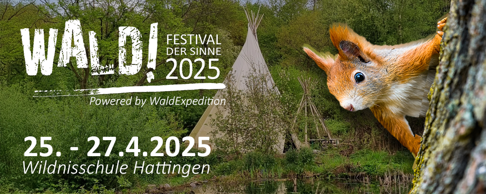 WALD Festival der Sinne Banner 2025