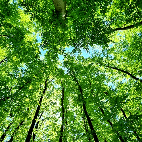 Selbsterfahrung_06 Selbsterfahrung 06