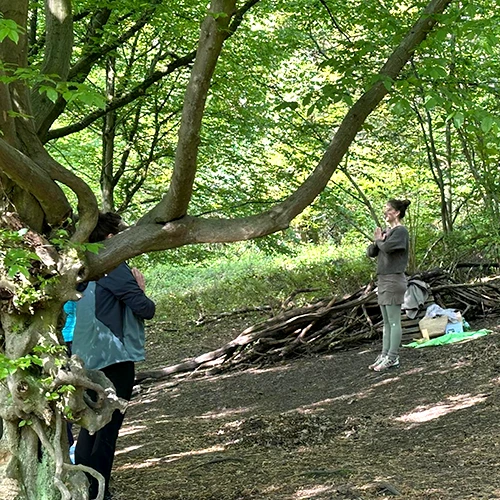 WaldYoga 01