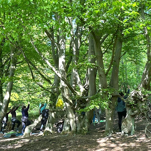 WaldYoga 02