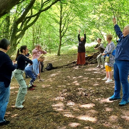 WaldYoga 04