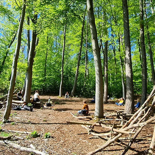 Waldbaden 02