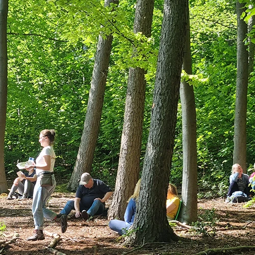 Waldbaden 03