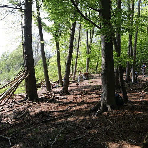 Waldbaden 05