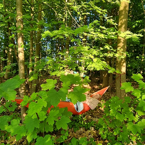 Mini Auszeit 02 WaldExpedition