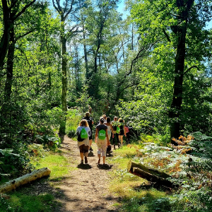 Erlebnis WaldFührung 15 WaldExpedition-Erlebnis-Waldfuehrung 300