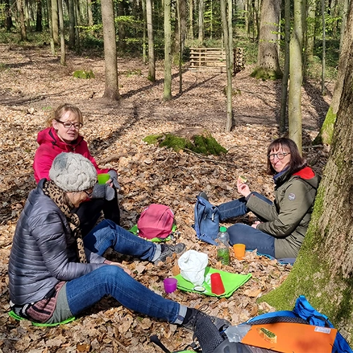 Waldexpedition Waldbaden 03