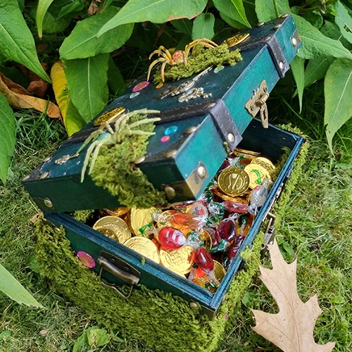 WaldExpedition Nachtwanderung_03
