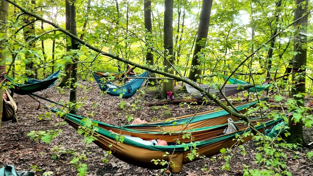 WaldExpedition Mini Auszeit