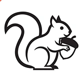 Icon Festival der Sinne