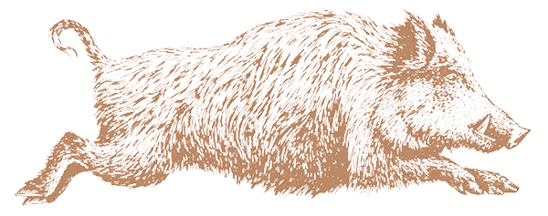 Erlebnis WaldFührung 3